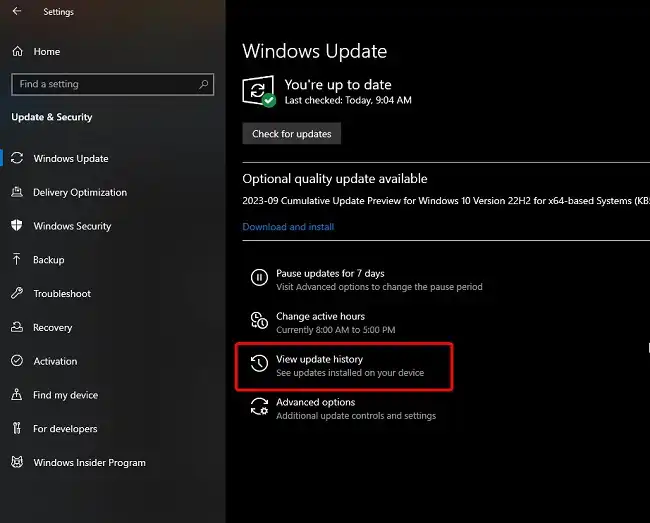 On Windows Update, click on View Update History