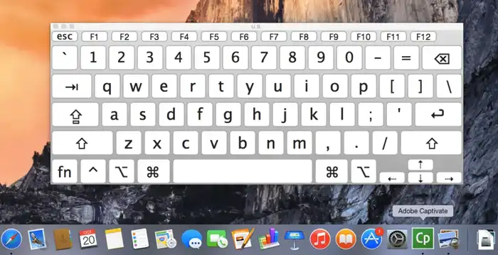 Use Keyboard Viewer